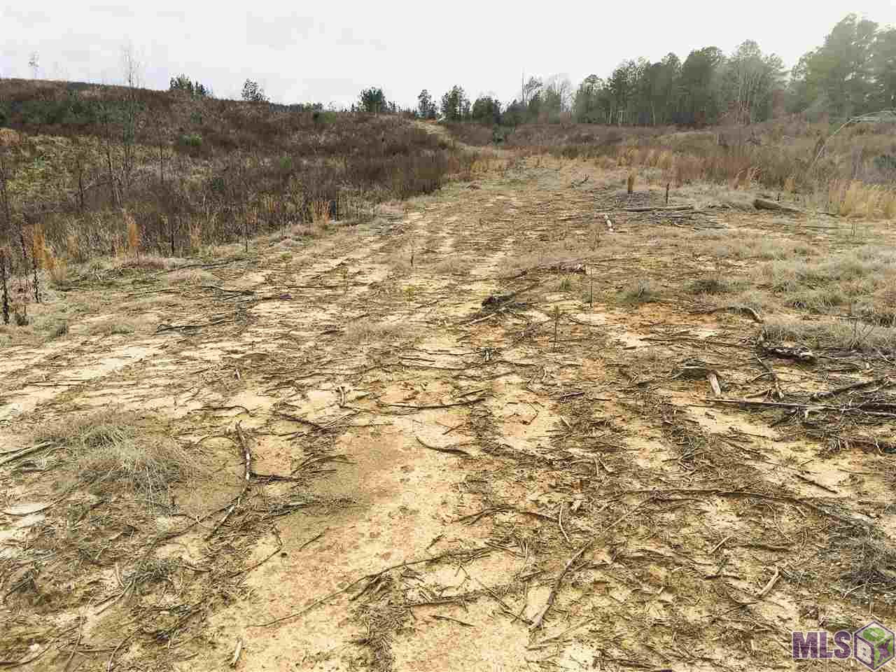 0 Nebo Road Gloster, MS 39638 - Photo 4 of 17