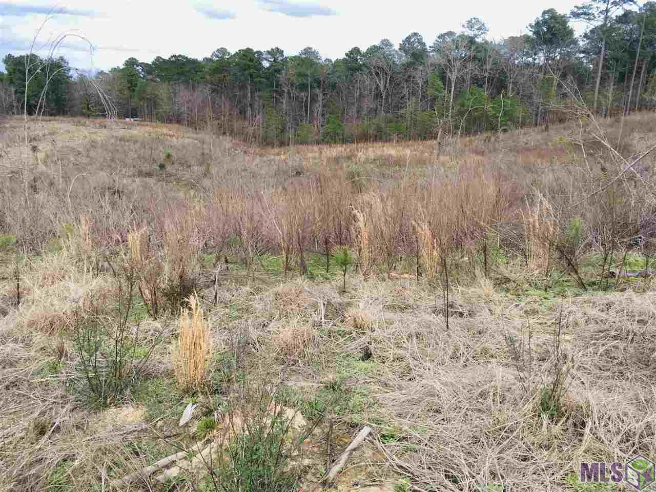 0 Nebo Road Gloster, MS 39638 - Photo 5 of 17