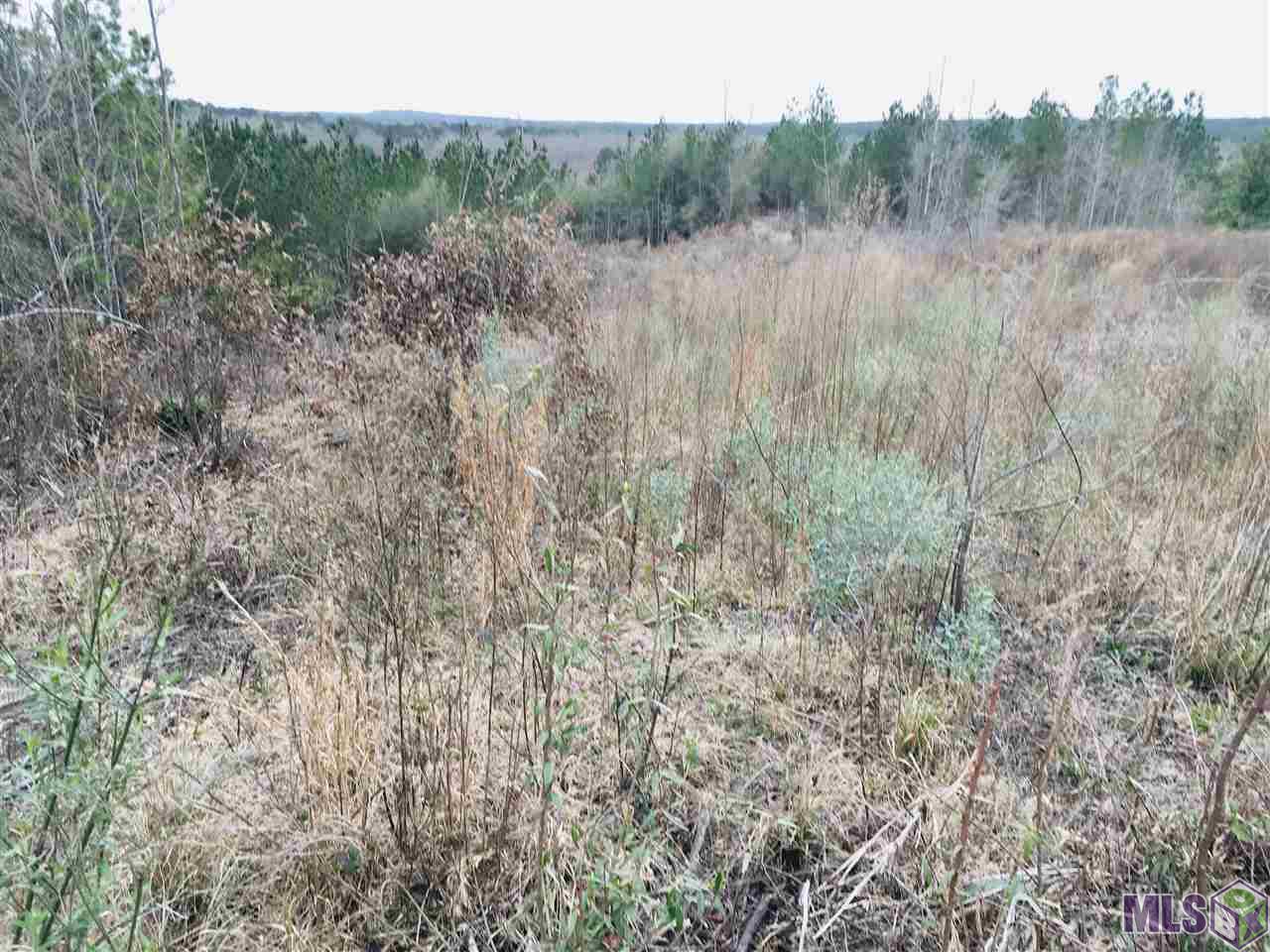 0 Nebo Road Gloster, MS 39638 - Photo 6 of 17