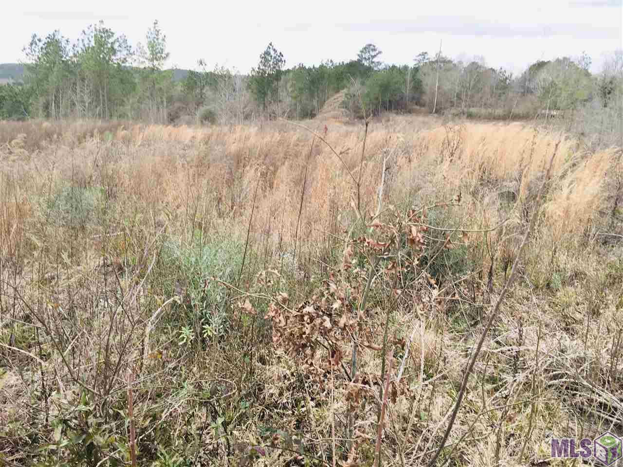 0 Nebo Road Gloster, MS 39638 - Photo 7 of 17