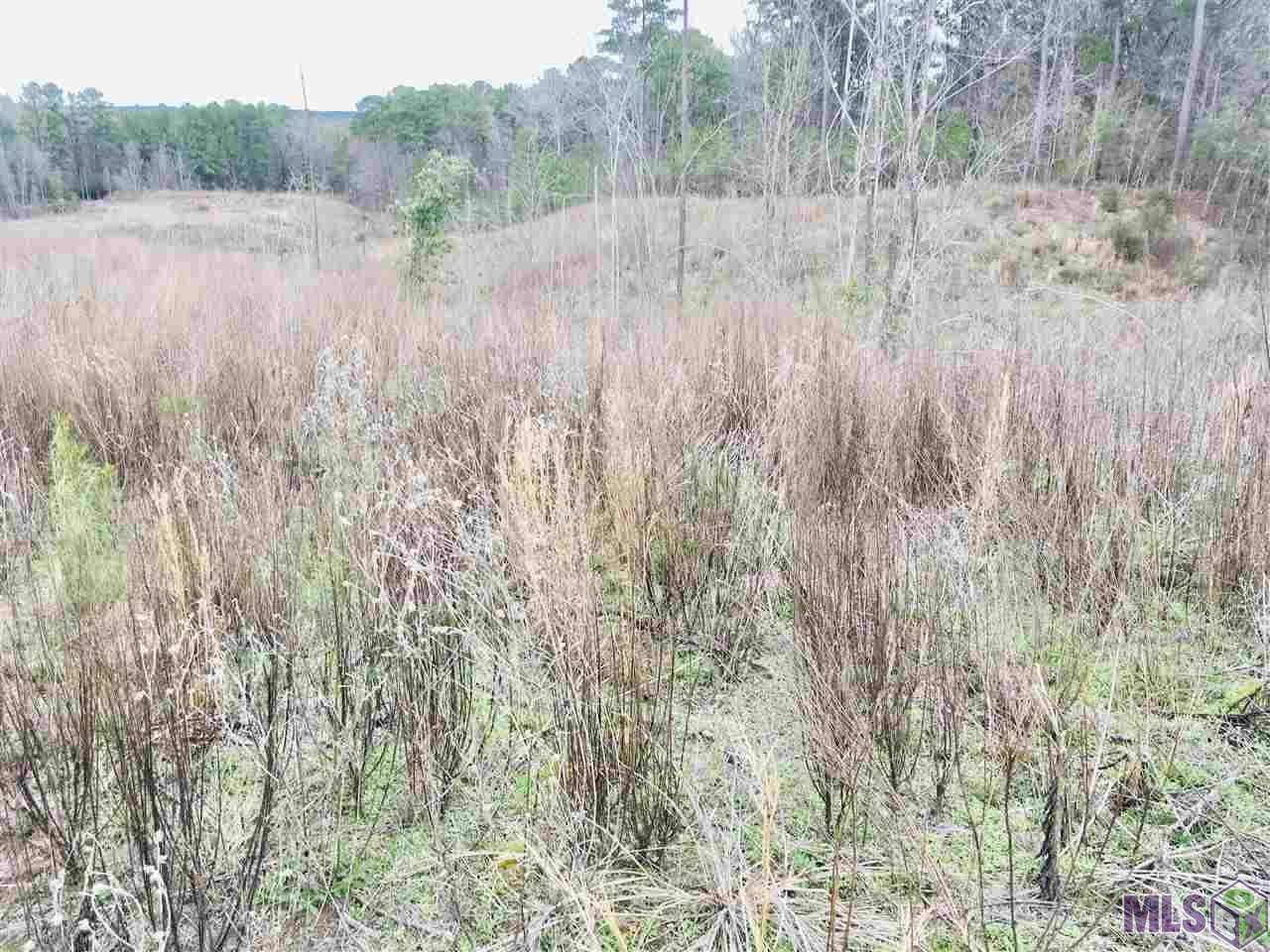 0 Nebo Road Gloster, MS 39638 - Photo 8 of 17