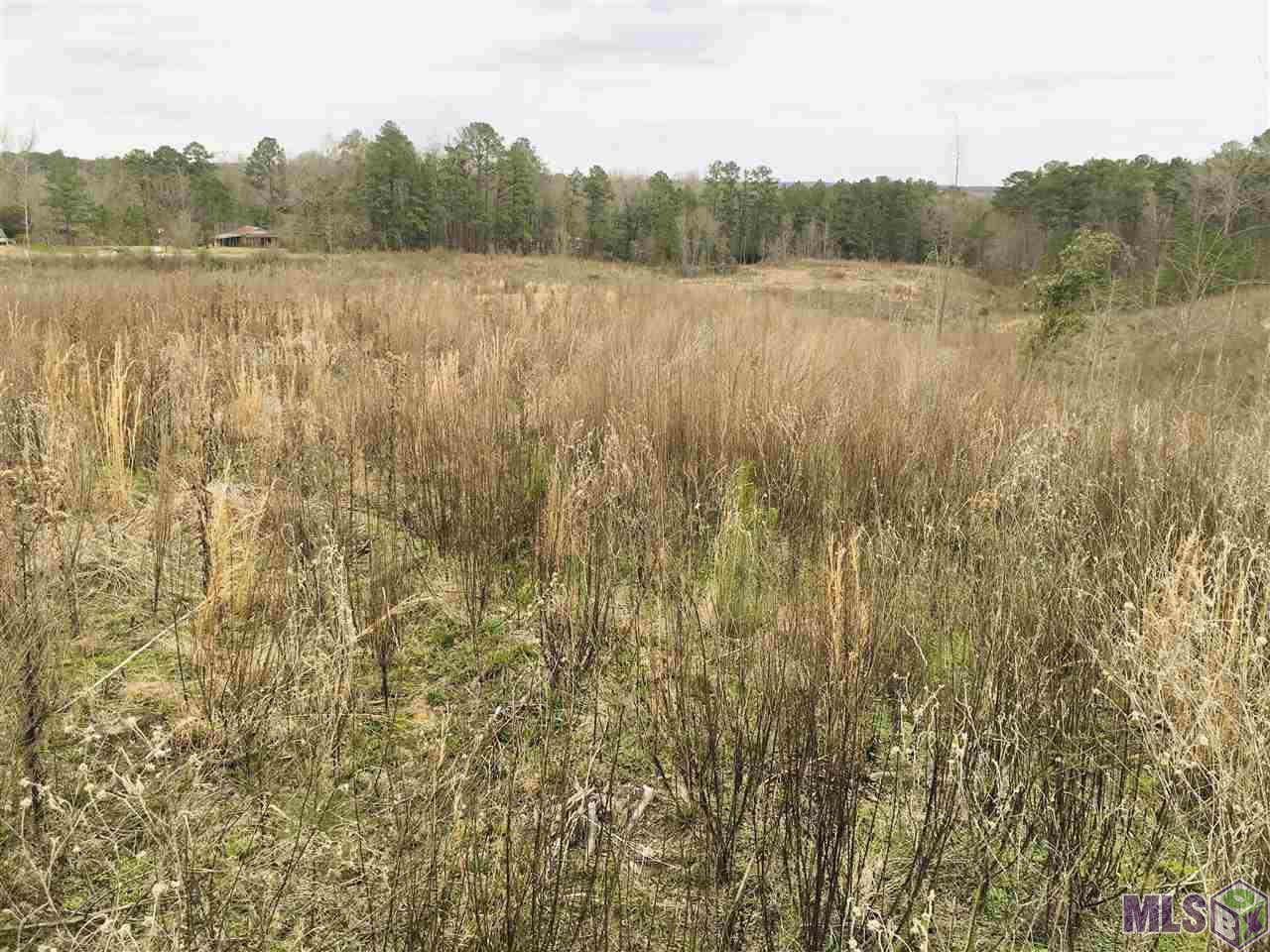 0 Nebo Road Gloster, MS 39638 - Photo 9 of 17