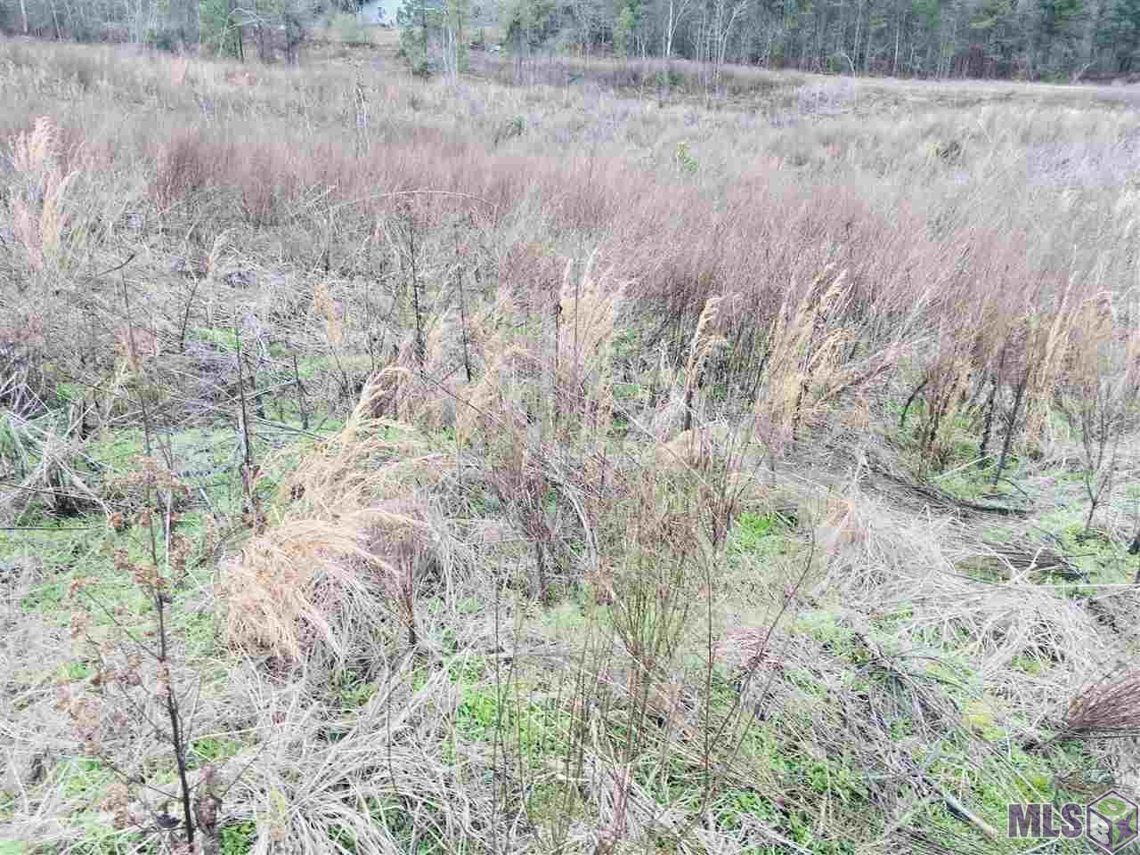 0 Nebo Road Gloster, MS 39638 - Photo 10 of 17