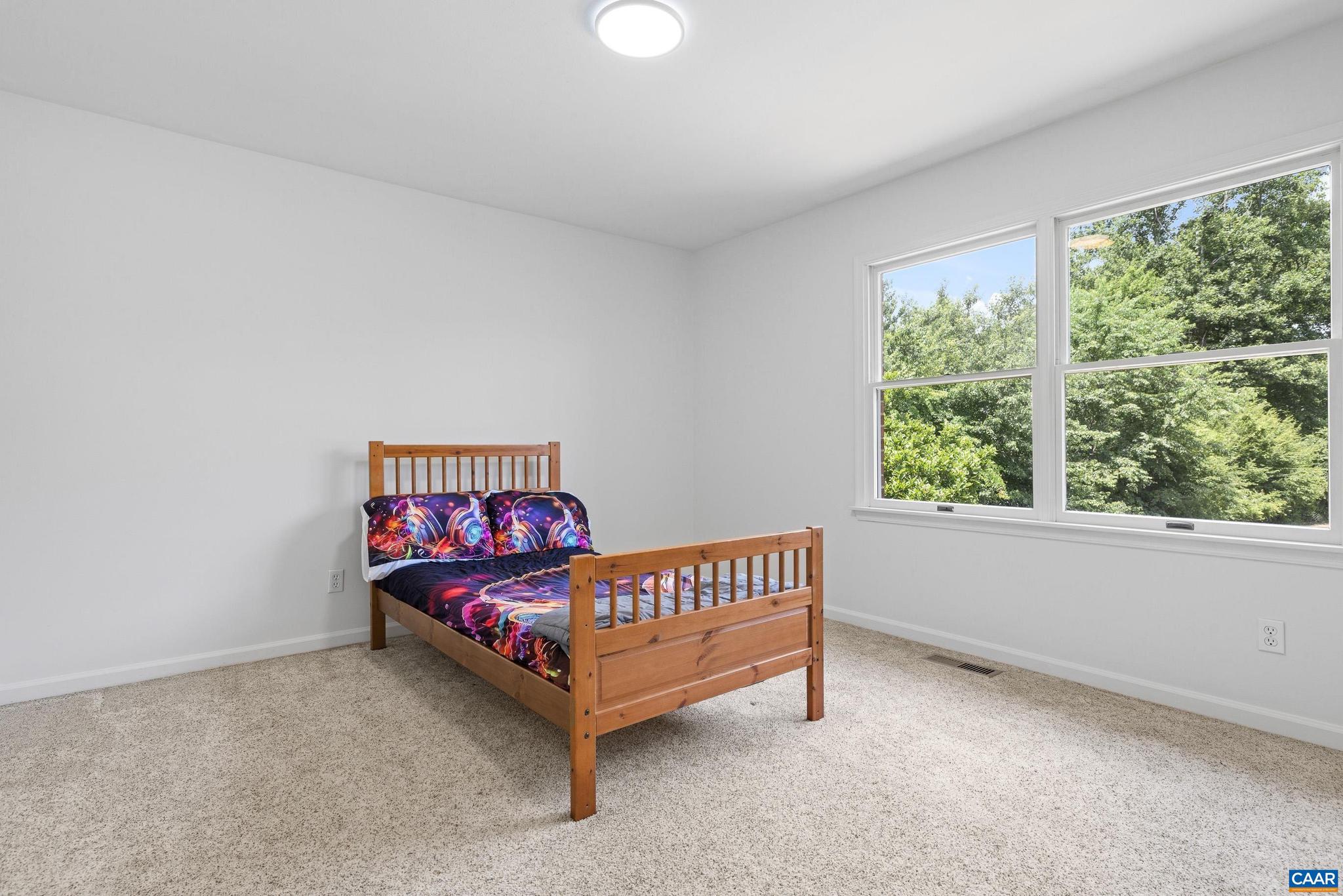 5393 Amicus Road Ruckersville, VA 22968 - Photo 42 of 74