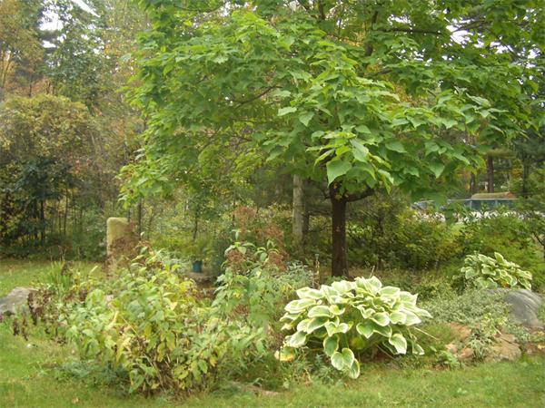 581 Podunk Road East Brookfield, MA 01515 - Photo 8 of 22 Gallery Image 8