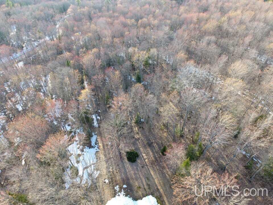 9936 N South Ross Lake Road Shingleton, MI 49884 - Photo 7 of 50