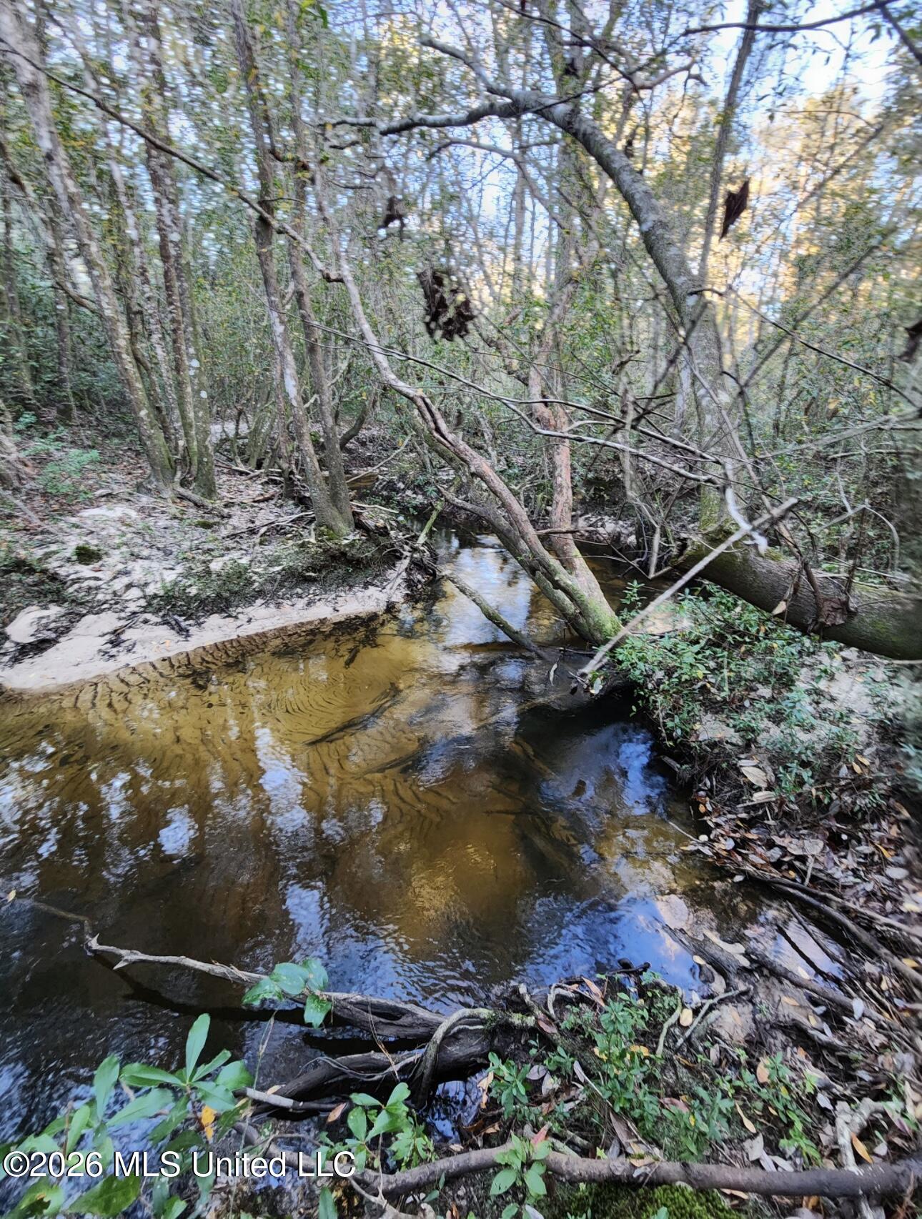 2151 Sally Parker Road Lucedale, MS 39452 - Photo 10 of 10 Creek