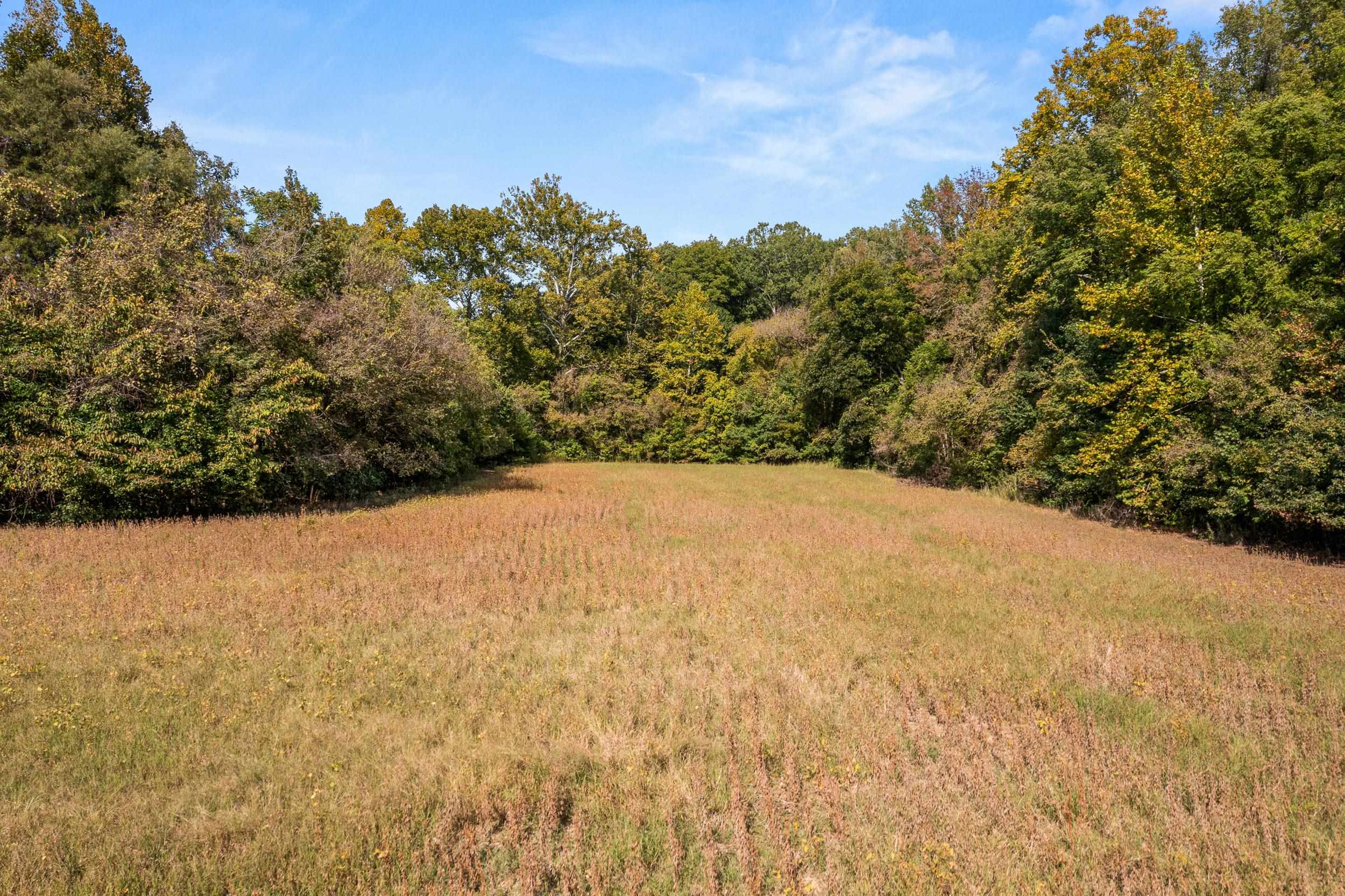 East Moose Road Arlington, TN 38002 - Photo 1 of 5 View of yard featuring a view of trees