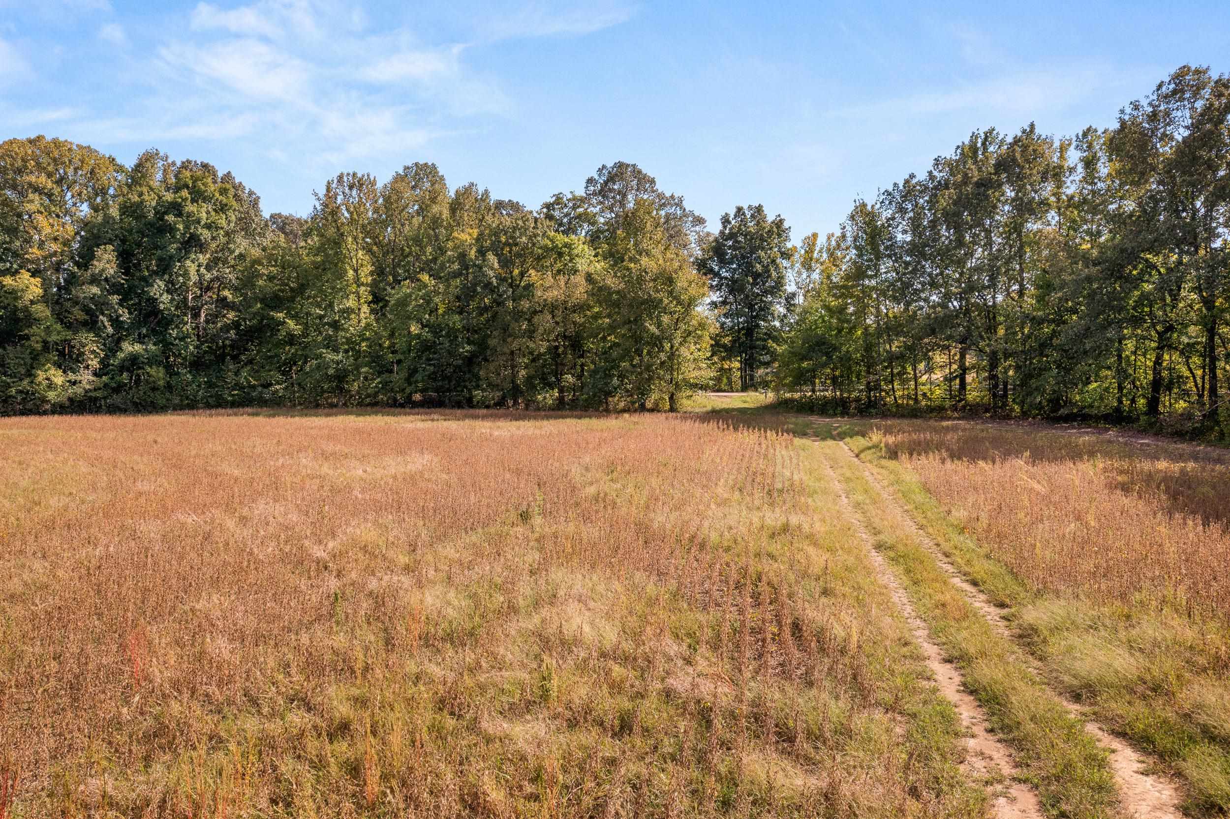 East Moose Road Arlington, TN 38002 - Photo 2 of 5 View of yard featuring a rural view