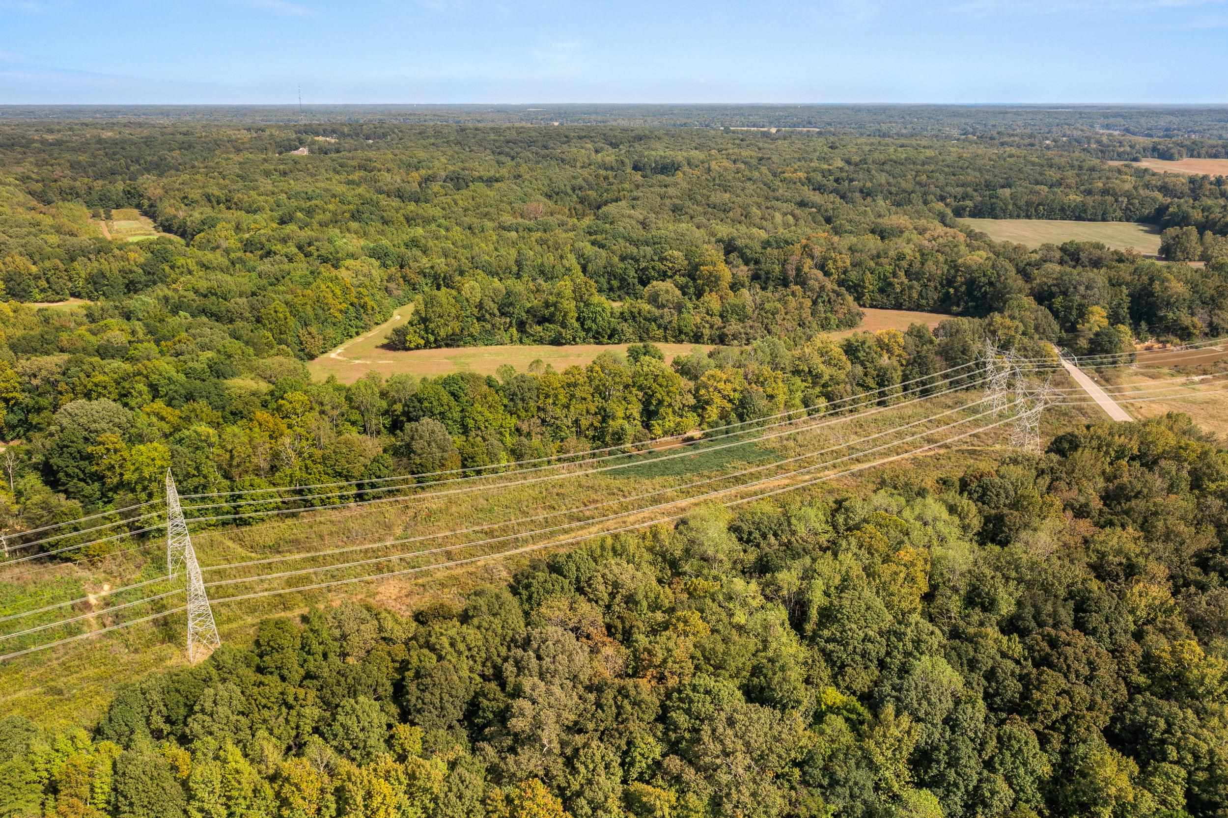East Moose Road Arlington, TN 38002 - Photo 4 of 5 Bird's eye view of a heavily wooded area