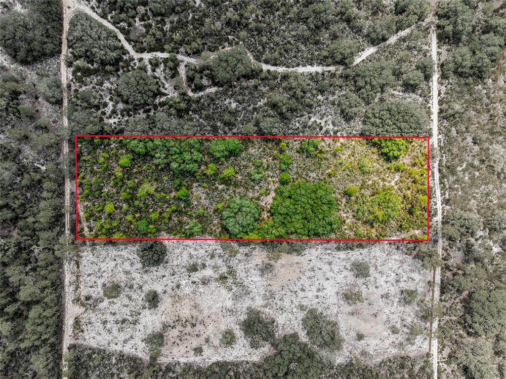 0 Northeast 56th Street Bronson, FL 32621 - Photo 2 of 20