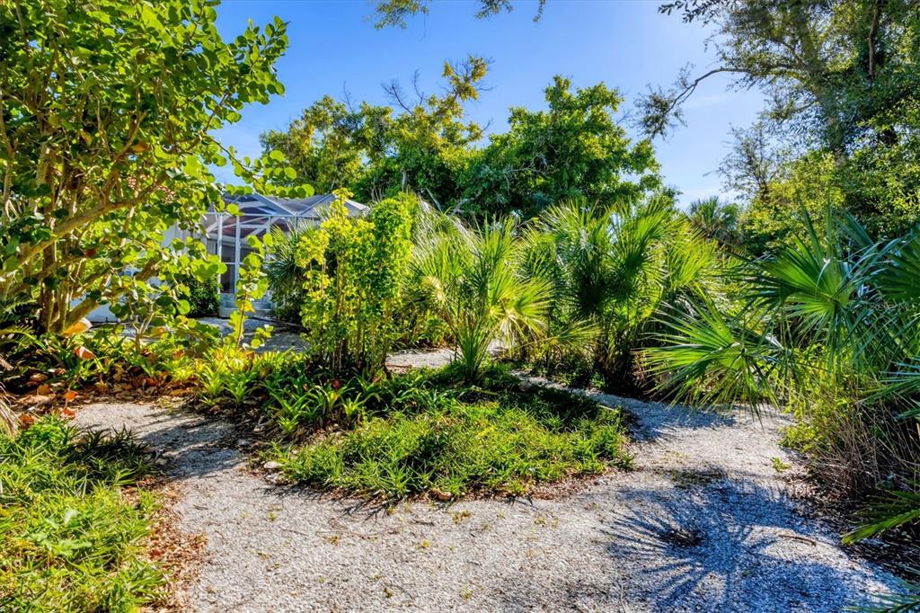 365 Capstan Drive Placida, FL 33946 - Photo 29 of 33 a view of a plant in a garden