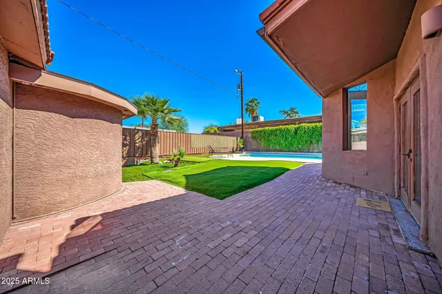 a view of a backyard with plants and palm tree