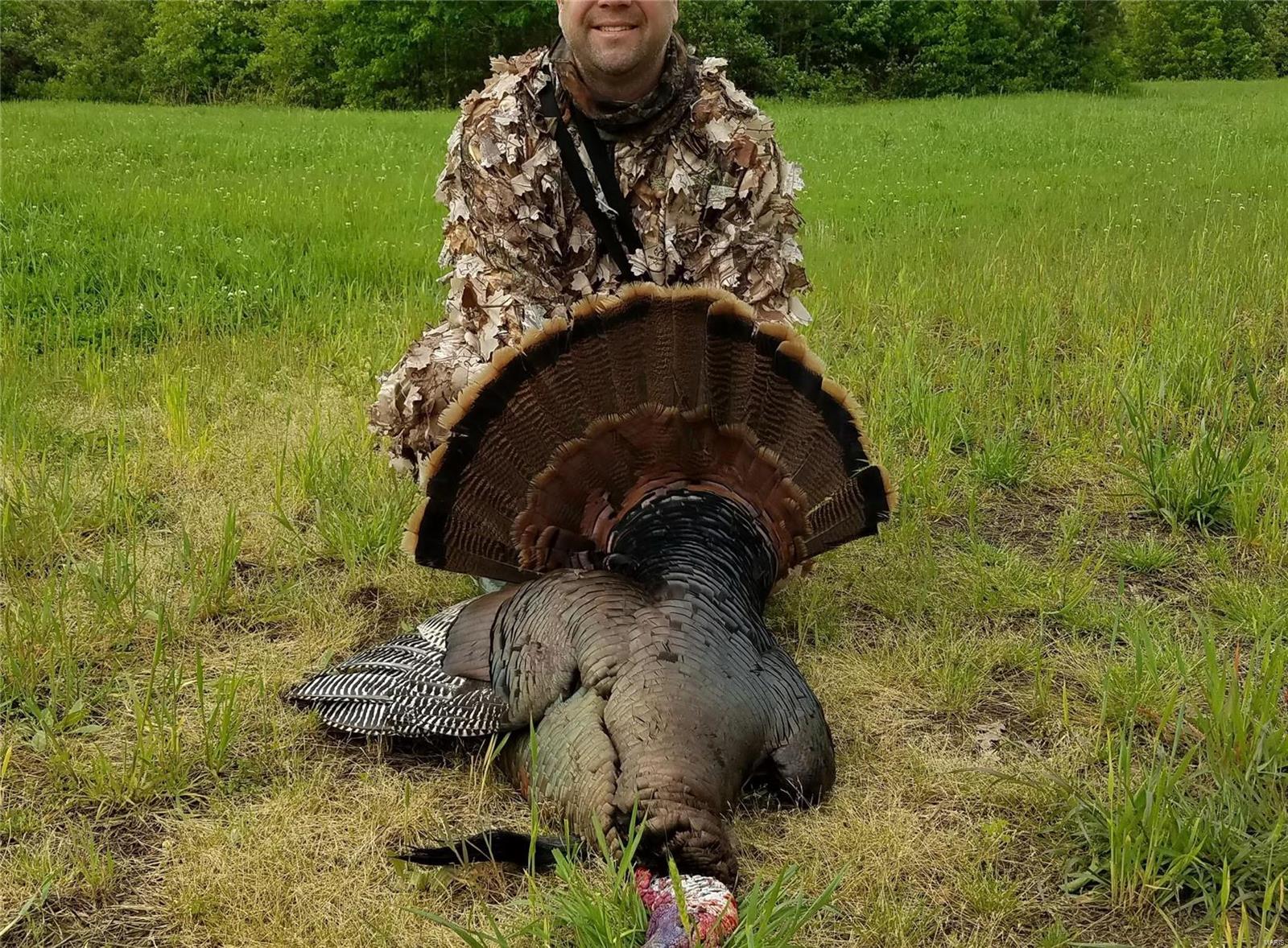 1743 Ripley Route North Doniphan, MO 63935 - Photo 11 of 91