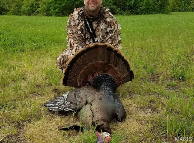 $1,300,000 | 1743 Ripley Route North, Doniphan, MO 63935