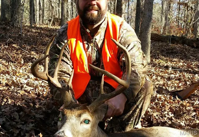 $1,300,000 | 1743 Ripley Route North, Doniphan, MO 63935