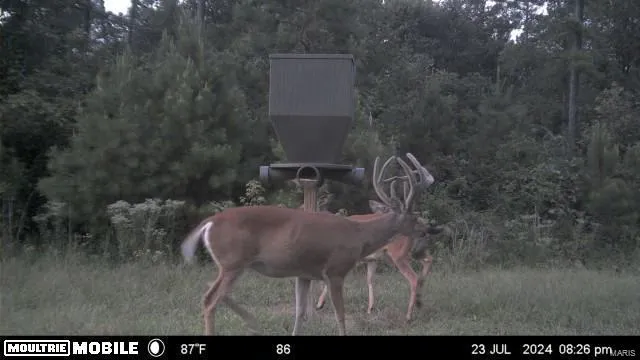 $1,300,000 | 1743 Ripley Route North, Doniphan, MO 63935