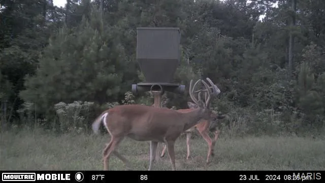 $1,300,000 | 1743 Ripley Route North, Doniphan, MO 63935