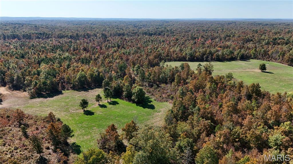 1743 Ripley Route North Doniphan, MO 63935 - Photo 14 of 97
