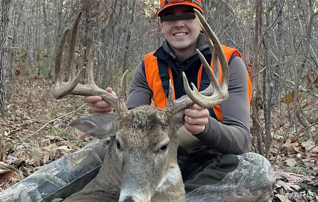 1743 Ripley Route North Doniphan, MO 63935 - Photo 16 of 91