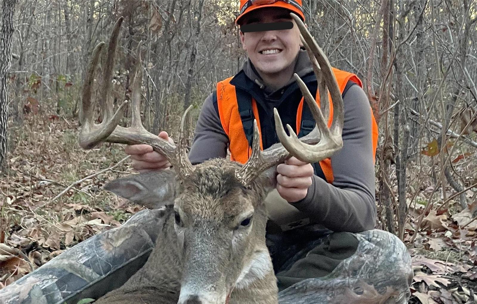 1743 Ripley Route North Doniphan, MO 63935 - Photo 16 of 91