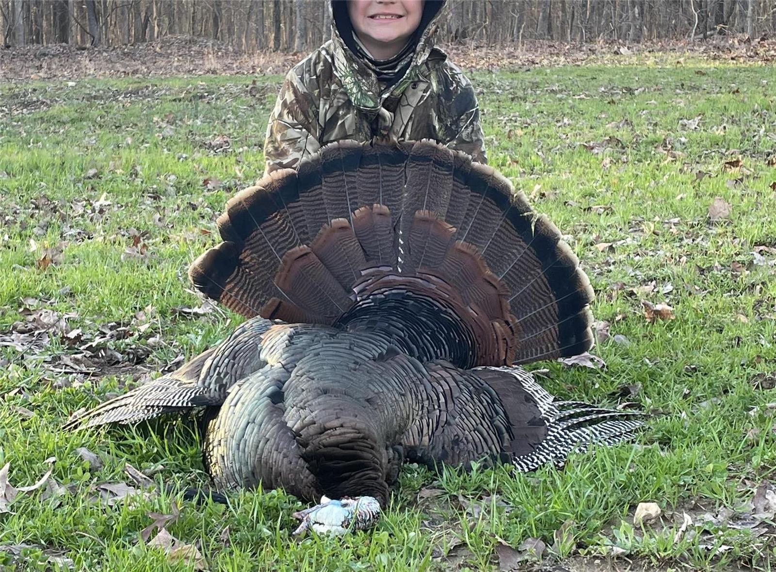 1743 Ripley Route North Doniphan, MO 63935 - Photo 17 of 91