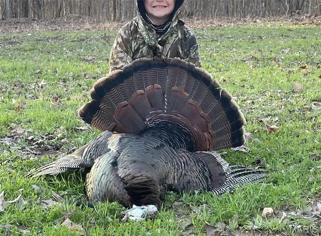 $1,300,000 | 1743 Ripley Route North, Doniphan, MO 63935