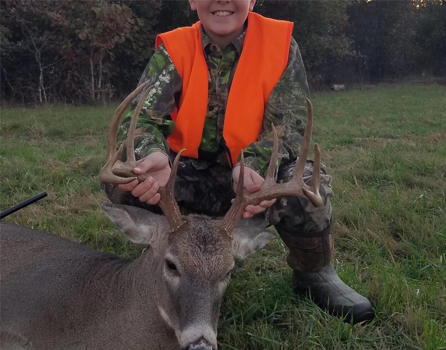 1743 Ripley Route North Doniphan, MO 63935 - Photo 18 of 91