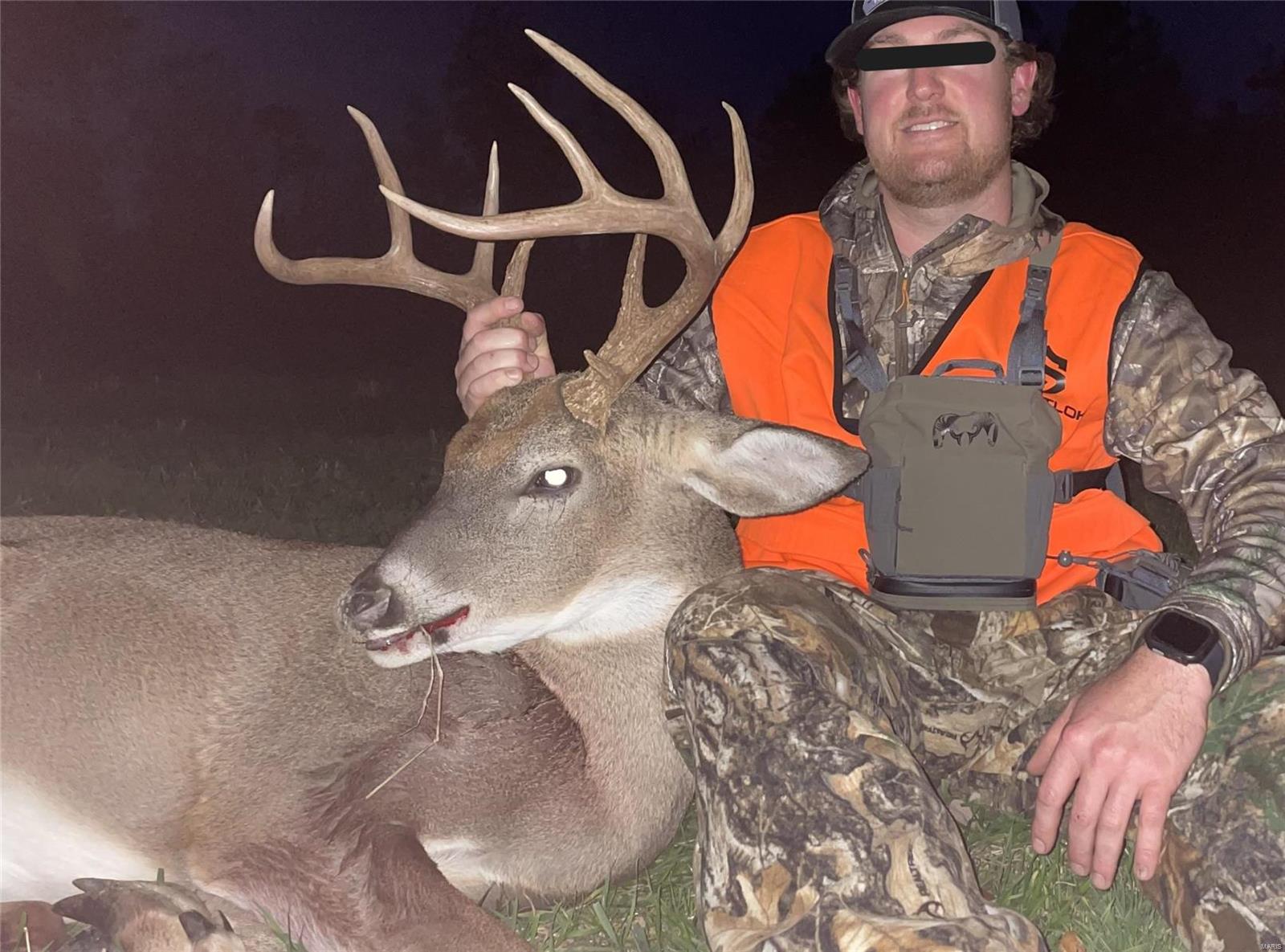 1743 Ripley Route North Doniphan, MO 63935 - Photo 20 of 91