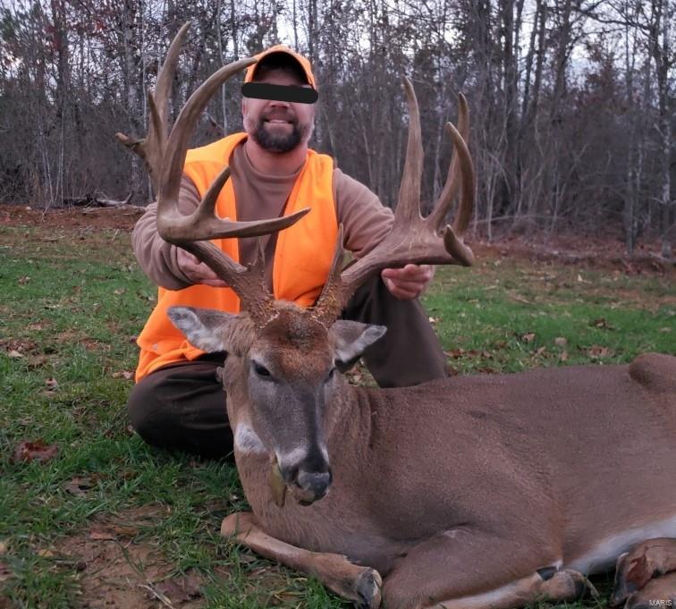 1743 Ripley Route North Doniphan, MO 63935 - Photo 2 of 91