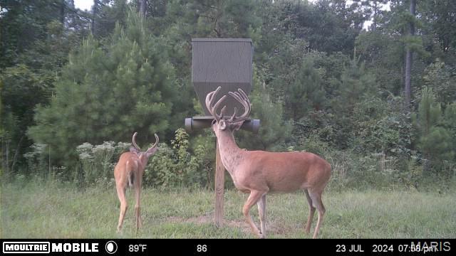 1743 Ripley Route North Doniphan, MO 63935 - Photo 23 of 97