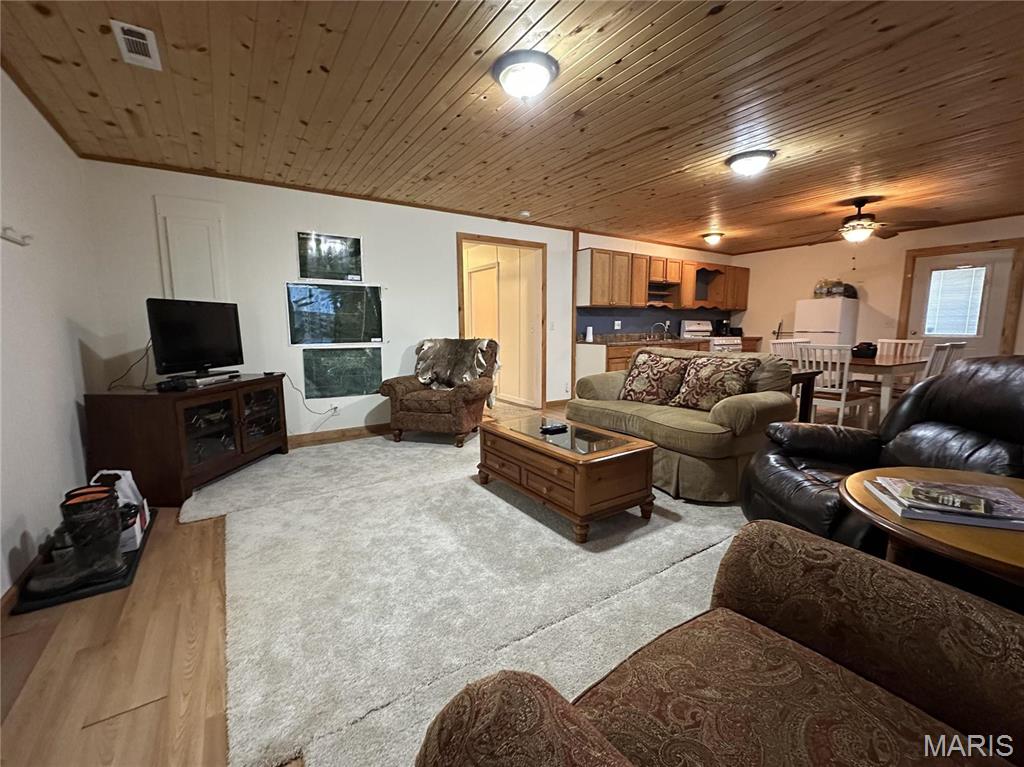 1743 Ripley Route North Doniphan, MO 63935 - Photo 29 of 91