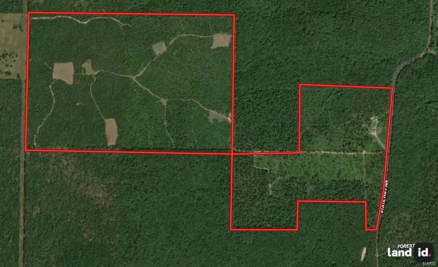 1743 Ripley Route North Doniphan, MO 63935 - Photo 3 of 91