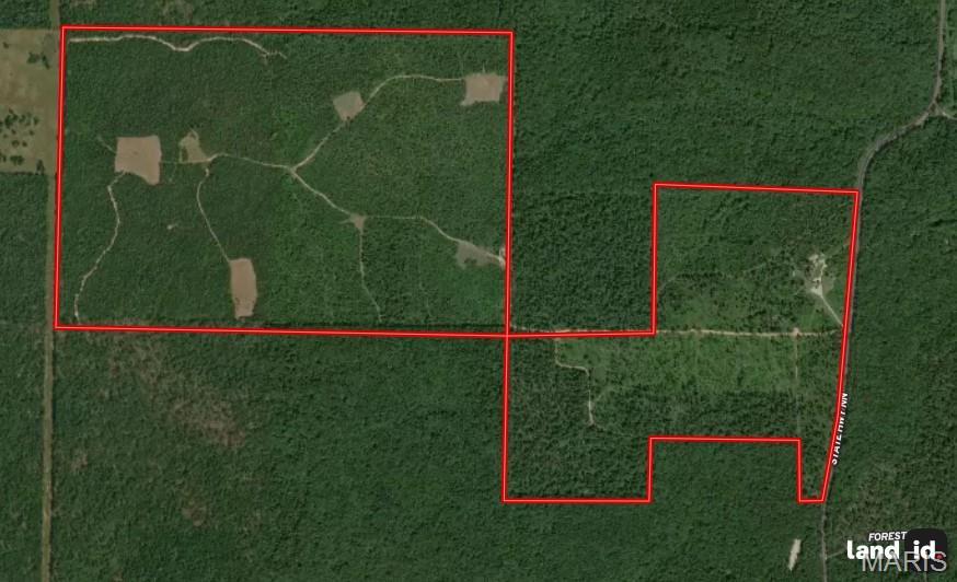 1743 Ripley Route North Doniphan, MO 63935 - Photo 3 of 91