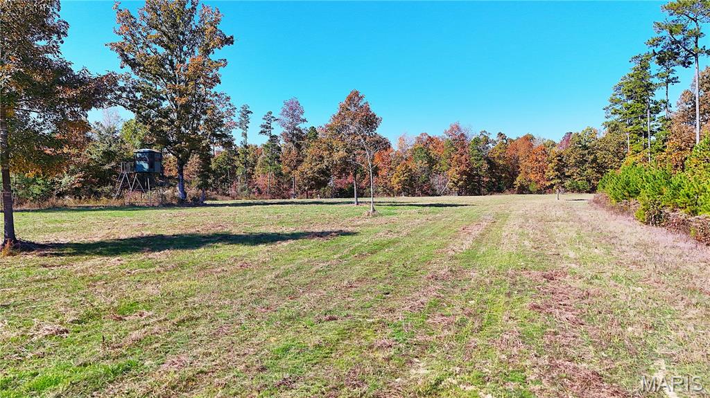 1743 Ripley Route North Doniphan, MO 63935 - Photo 31 of 97