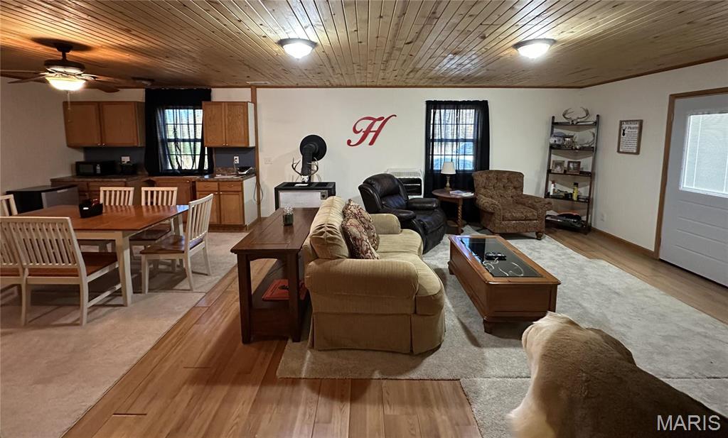 1743 Ripley Route North Doniphan, MO 63935 - Photo 33 of 91