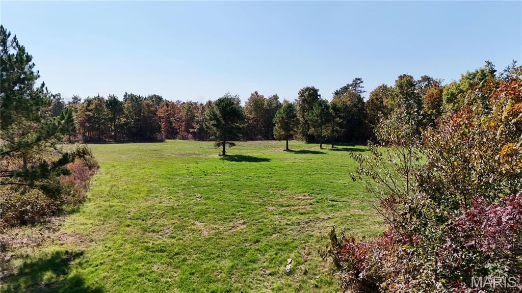 1743 Ripley Route North Doniphan, MO 63935 - Photo 34 of 97