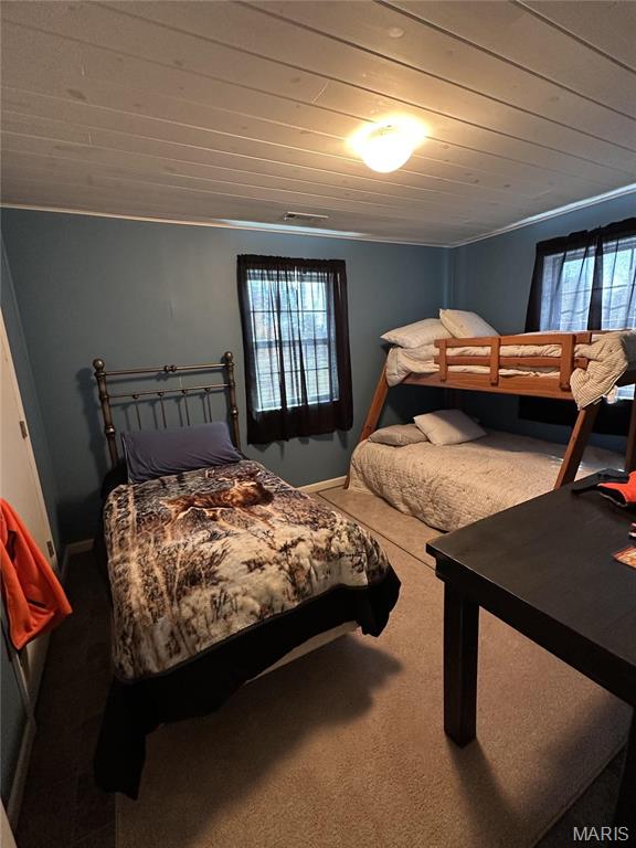 1743 Ripley Route North Doniphan, MO 63935 - Photo 34 of 91