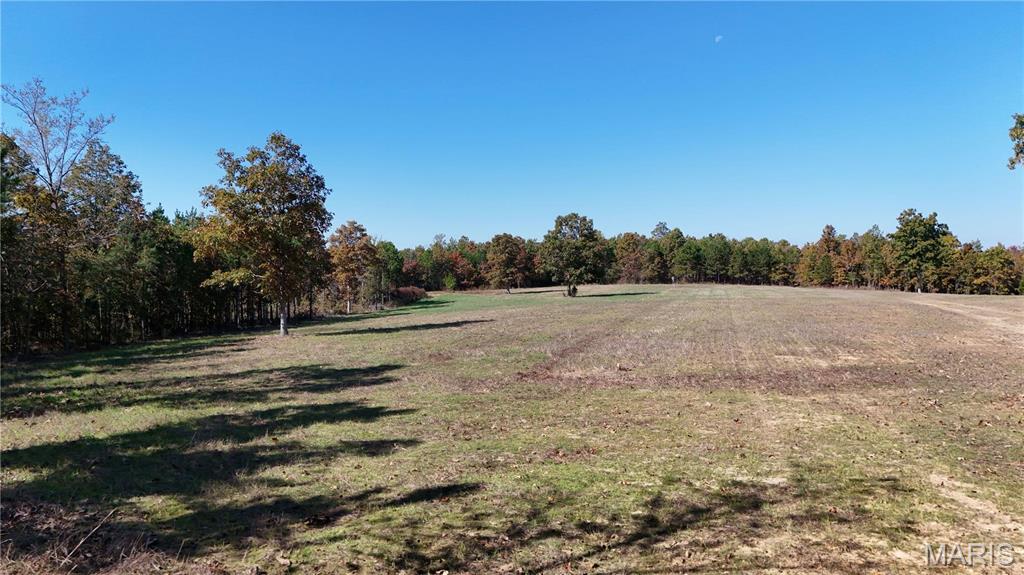 1743 Ripley Route North Doniphan, MO 63935 - Photo 42 of 91