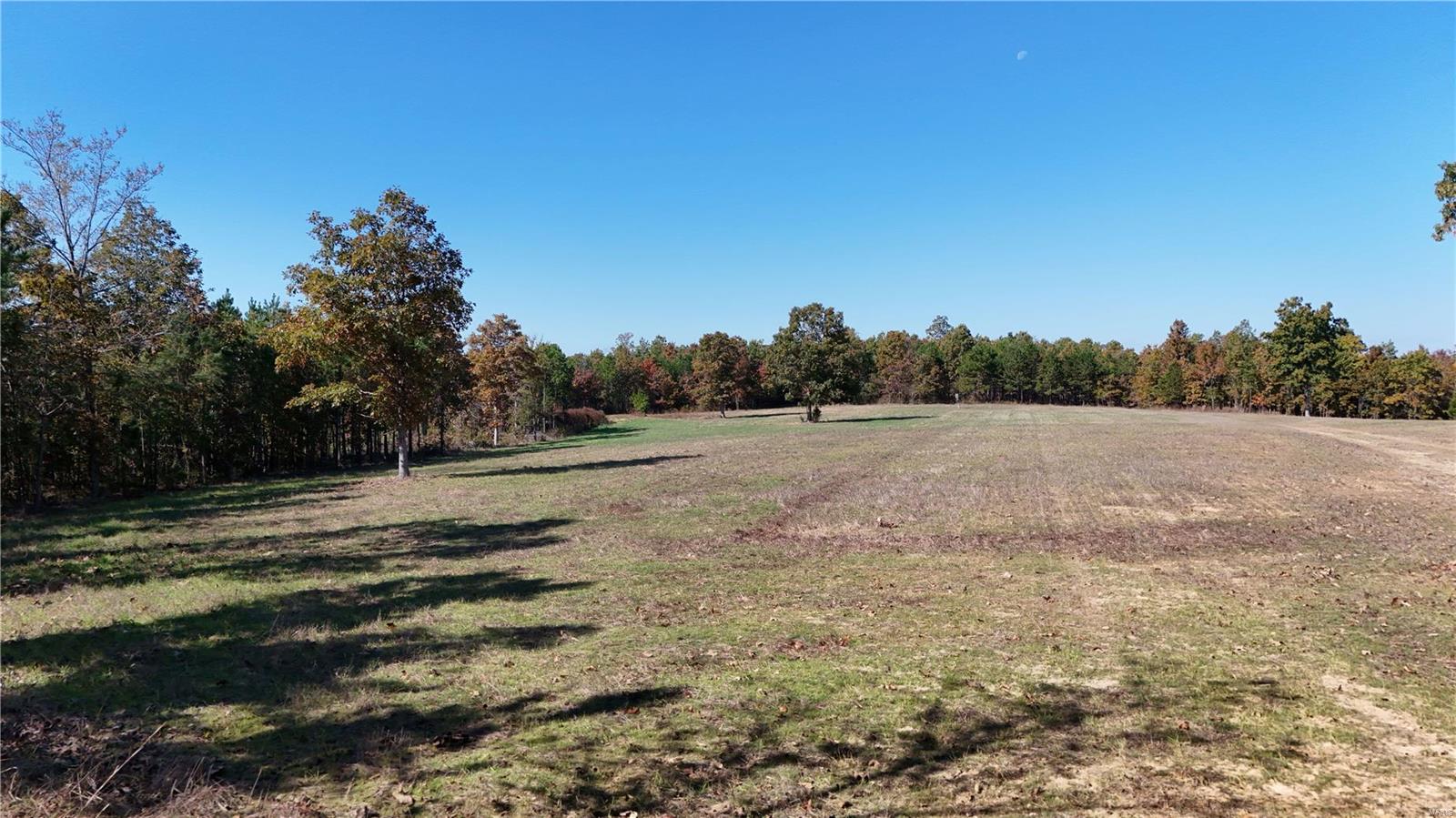 1743 Ripley Route North Doniphan, MO 63935 - Photo 42 of 91