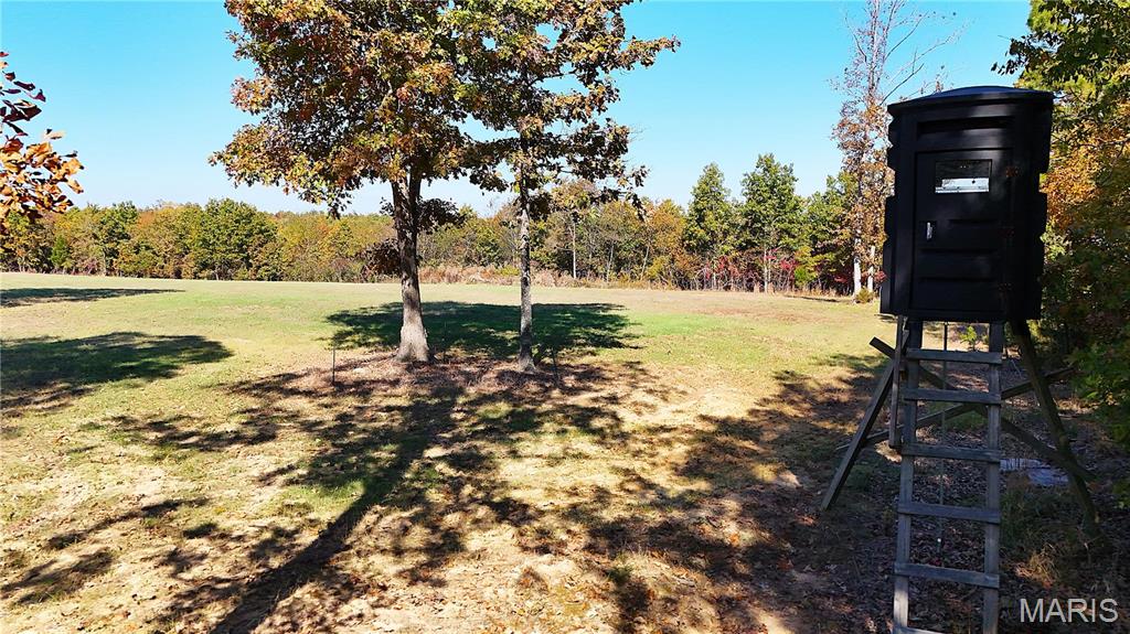 1743 Ripley Route North Doniphan, MO 63935 - Photo 43 of 91