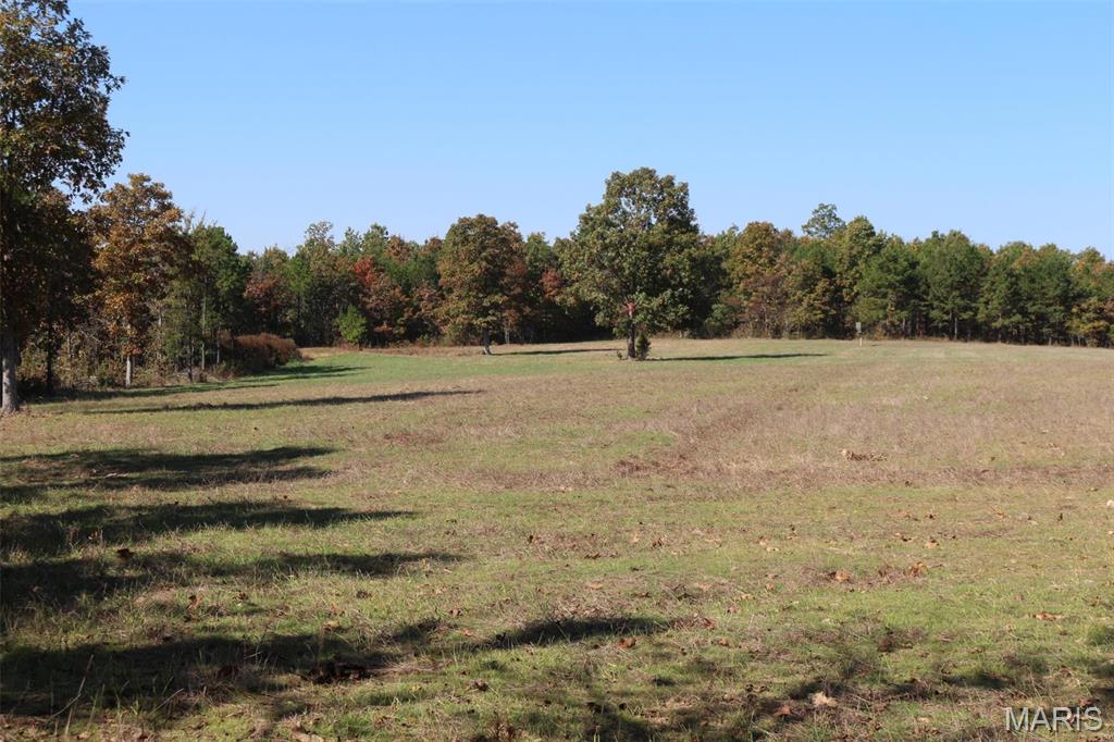1743 Ripley Route North Doniphan, MO 63935 - Photo 43 of 97