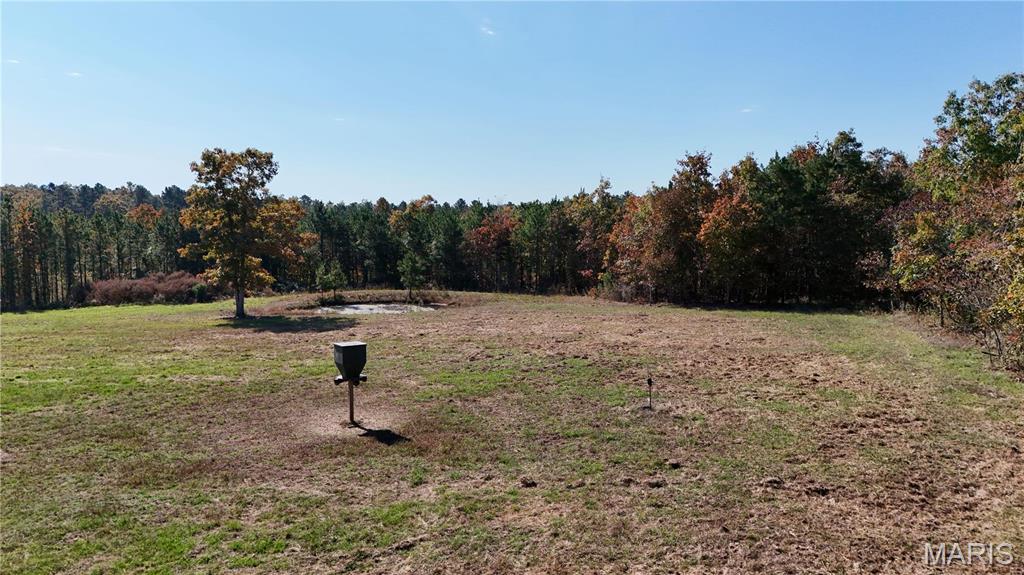 1743 Ripley Route North Doniphan, MO 63935 - Photo 44 of 91