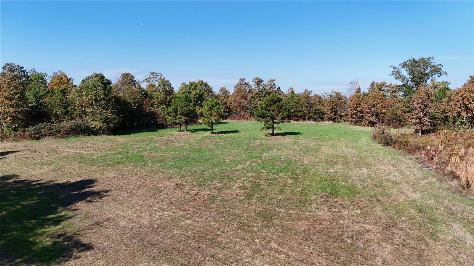 1743 Ripley Route North Doniphan, MO 63935 - Photo 48 of 91