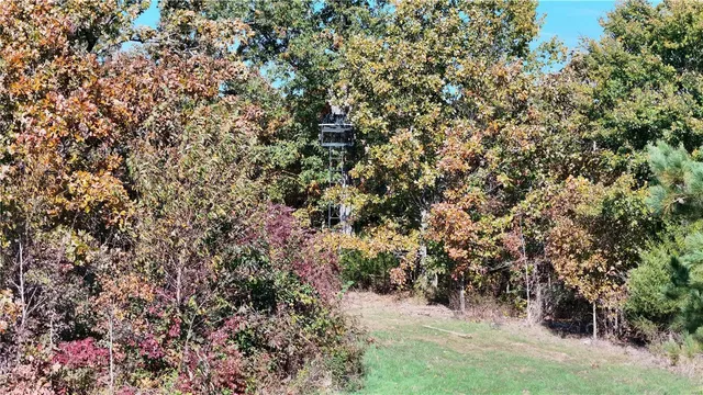 $1,300,000 | 1743 Ripley Route North, Doniphan, MO 63935