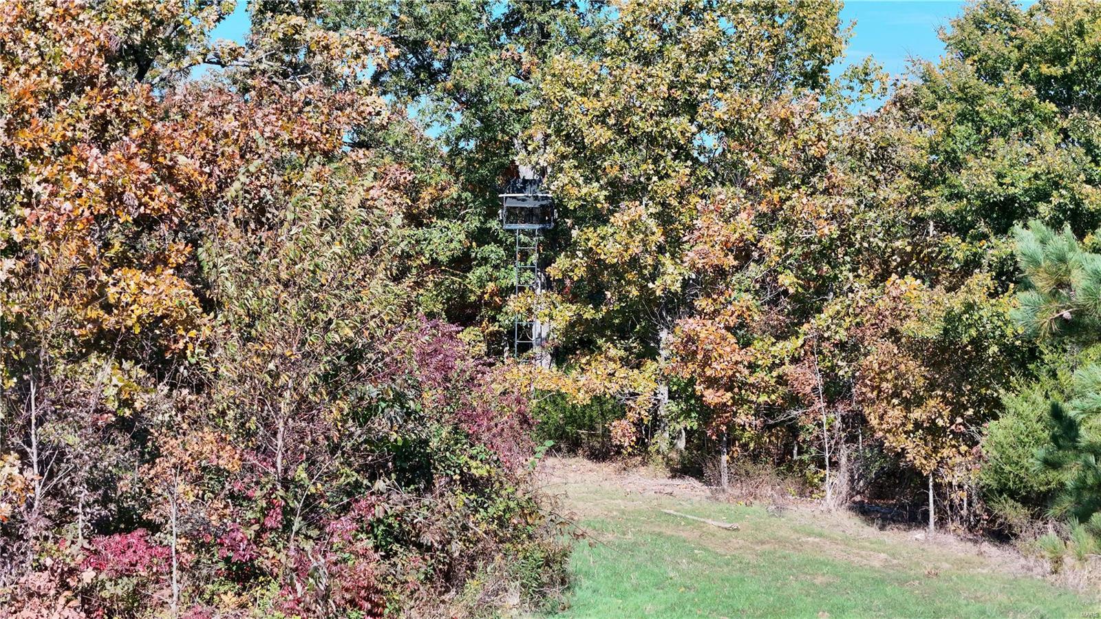 1743 Ripley Route North Doniphan, MO 63935 - Photo 49 of 91