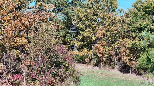 $1,300,000 | 1743 Ripley Route North, Doniphan, MO 63935