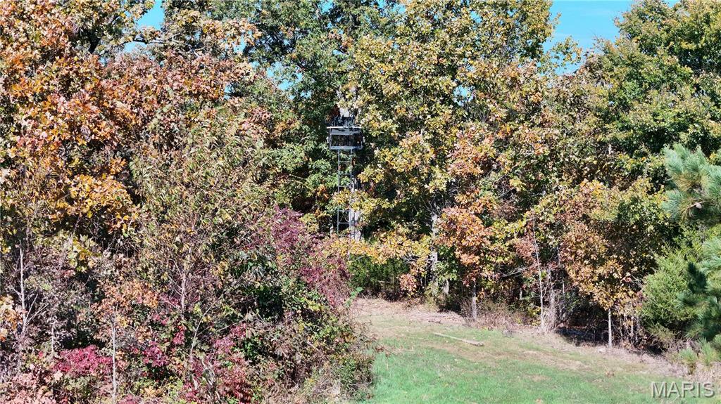 1743 Ripley Route North Doniphan, MO 63935 - Photo 49 of 91