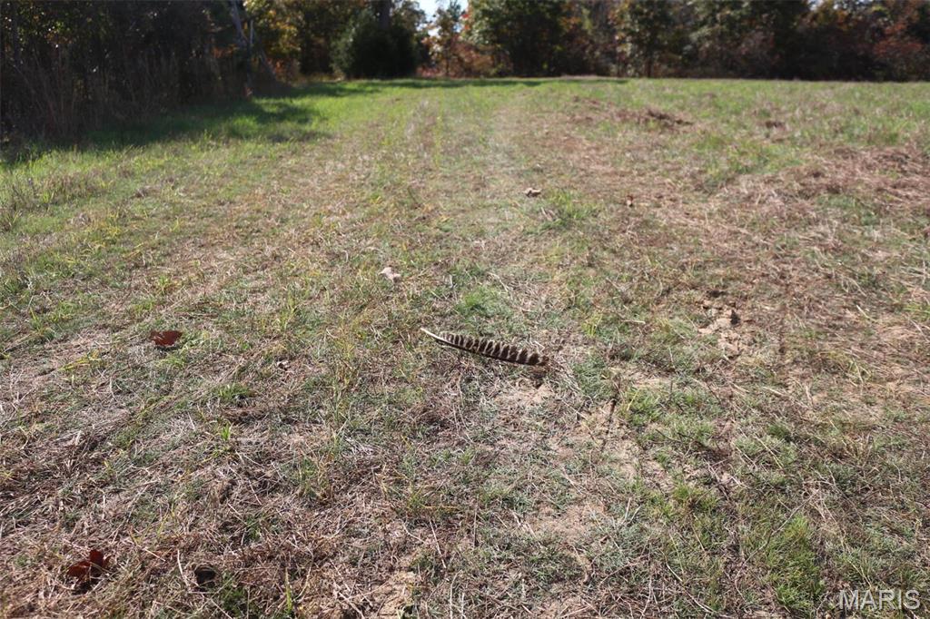 1743 Ripley Route North Doniphan, MO 63935 - Photo 50 of 97
