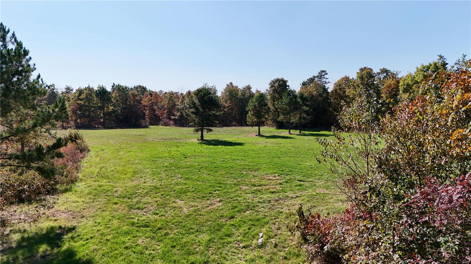 1743 Ripley Route North Doniphan, MO 63935 - Photo 50 of 91